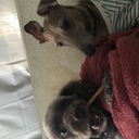 おっくんのブログ