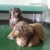 ２回目の血液検査