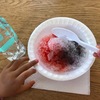 とってもいいです！短期集中型のパートタイムプリスクール！〜４歳ハワイプリスクール留学記〜