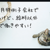 2年10ヶ月特例子会社で働いてるけど、給料以外は◎で働きやすい！