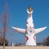 万博記念公園散策　～ 梅と菜の花に癒やされる ～