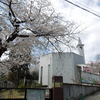 桜と教会と坂道と、、