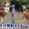 酷暑日が続く中、週末のデイサービスで自主トレ