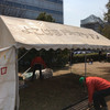 第433回よこはま月例マラソン（神奈川県横浜市）