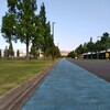 新横浜公園芝生でジョグ【2021/07/25夕方ラン】