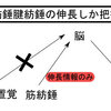 【東京セミナー情報】進化とデザインから考える痙性の運動戦略と治療『体感』ナイトセミナー