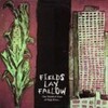 one hundred years of high rises/FIELDS LAY FAllOW(12inch)