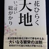 石ころだらけの因縁を浄化した話　その１