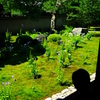 特集：「夏の空」 最終回　　（東福寺：天得院）