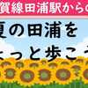 真夏の田浦をちょっと歩こう！！