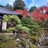 【京都】【御朱印】『霊鑑寺』に行ってきました。 京都紅葉 そうだ京都行こう 女子旅 