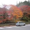 紅葉とミニ（東京都西多摩郡日の出町）