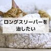 ロングスリーパーを治したい！効果のあった対策【HSPは睡眠時間が長い】