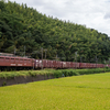 2024/09/25 1063レ EF81 406号機