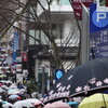 雨の表参道