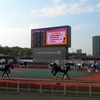 <span itemprop="headline">★特別席（主催者席）で「競馬観戦」（TCK＝東京シティ競馬）。</span>