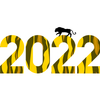 2021 -> 2022 〜振り返りと今年の抱負
