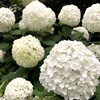 かっぽさんぽ27
