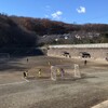 12/19　秦野南が丘記念大会