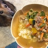 【犬ごはん】挽肉とかぼちゃのごはん