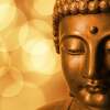 【原始仏教】仏教の瞑想法を四無量心の観点から考察Ⅲ