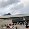  「NiziU Fan Meeting with U 2024 Nizi"U"niversity」&「JOIN ALIVE 2024」&「バズリズム LIVE -10th Anniversary-」&「NUMBER SHOT 2024」「ROCK IN JAPAN FESTIVAL 2024」&「音楽と髭達2024」&「a-nation 2024」&「CDTVライブ！ライブ！大感謝祭2024」&「イナズマロック フェス2024」&「GFSC Charity Campaign」セットリスト