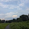 国立昭和記念公園を訪れる