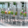 ✨🧹 お墓掃除・お墓参りの代行します 🪦✨ お忙しい方、遠方の方 📍 ご相談ください！💬 🚗 和歌山市・岩出市・海南市・紀の川市、その他近郊に出張いたします！ ⭐ 親切対応 ⭐ 大阪南部もOK！ ご依頼お待ちしております！🙏🌿