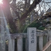 【最強】月曜日恒例の出勤前の田村神社参拝【運気上昇】