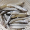 【失敗談】🐟カンタン酢で更に手抜き！冷凍ワカサギで作る南蛮漬け🐟、、、失敗したけどね😿【赤裸々告白】