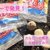 ダイソーで発見！カルビーの種芋「ぽろしり」を植えてみた【家庭菜園】