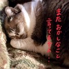 党員、今年の抱負を語る