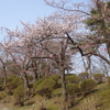 千秋公園もあと一歩