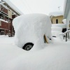 これが富山の豪雪か！閉じこもり生活に突入！