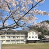 ２０２３ 桜を見る ～ 柳生から笠置へ