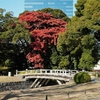 東京庭園散歩『特別名勝・特別史跡 浜離宮恩賜庭園③』