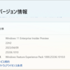 Windows 11 Insider Preview Build 25336.1010 リリース