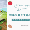 野菜を育てて暮らす技術 ~ 1年間の野菜づくり生活総まとめ ~