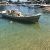 2017.8 愛媛県二神島にて