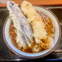 元長（上野）ナス天そば＋イカ天