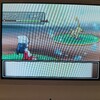 色コラッタ