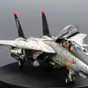 1/48 タミヤ F-14D VF-101グリム・リーパーズ