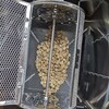 コーヒーの豆の焙煎にムラがでます。