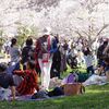 4年ぶりの静岡まつり　～春の祭りは心が沸き立ちます～