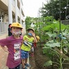 やまびこ：朝は畑で　育つ野菜