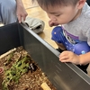 氷見海浜植物園