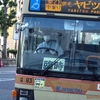 ゴールデンウィークの「丹沢表尾根」山歩き