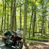 驚きのスポーツ性能を持つゴールドウイング。