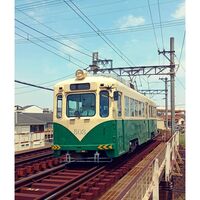 複数撮ったけれどね