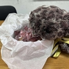 6月末付の解雇を通告された問題について交渉していた埼玉県内に本社のある美容クリニックの運営会社と和解！
